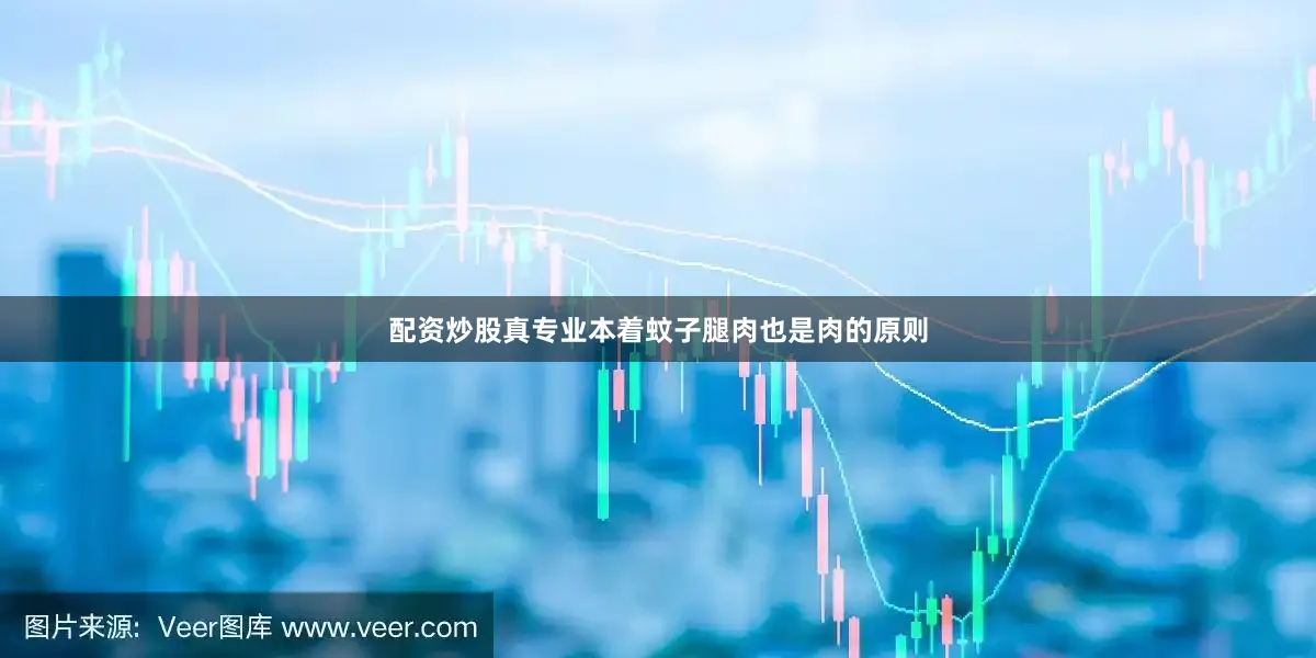 配资炒股真专业本着蚊子腿肉也是肉的原则