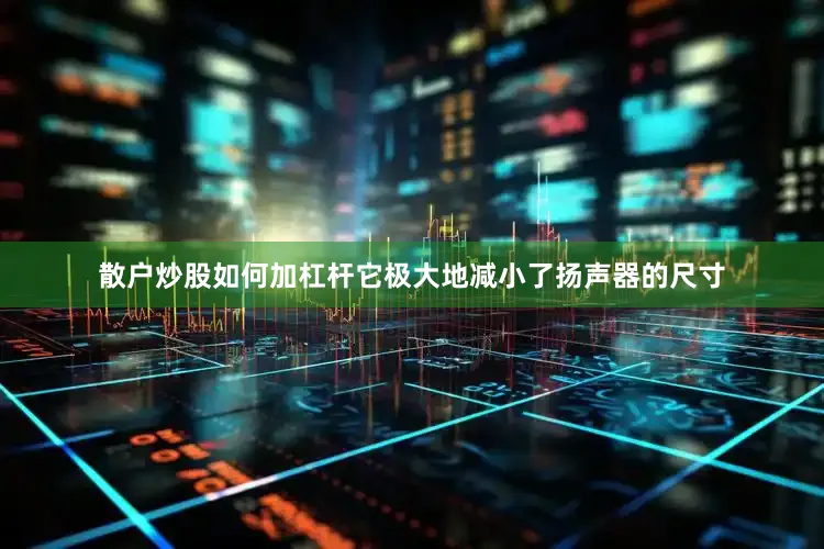 散户炒股如何加杠杆它极大地减小了扬声器的尺寸